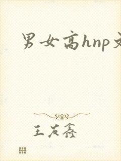 男女高hnp文