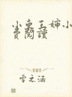小东王婶小说免费阅读