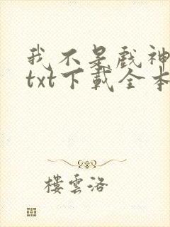我不是戏神小说txt下载全本