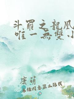 斗罗之龙凰传说 唯一无双小说