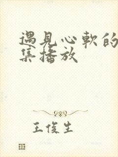 遇见心软的神全集播放