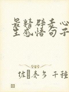 最精辟走心的人生感悟句子