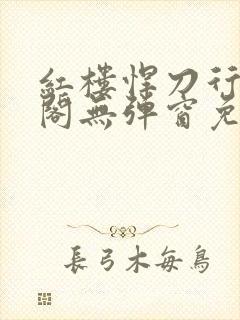 红楼悍刀行笔趣阁无弹窗免费