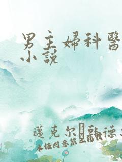男主妇科医生的小说
