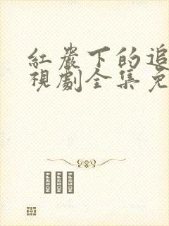 红岩下的追捕电视剧全集免费观看处长