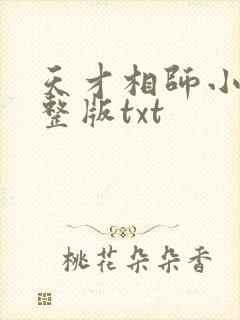 天才相师小说完整版txt