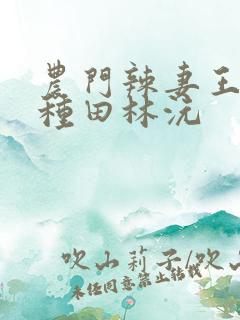 农门辣妻王爷来种田林沅