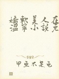 娇软美人在七零温宁小说免费阅读完整版