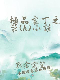 极品家丁之林晚荣(h)小说