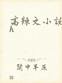 高辣文小说hhh
