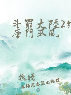 斗罗大陆2绝世唐门巫风