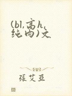 (bl,高h,纯肉)文