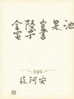 金陵岂是池中物电子书