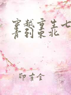 穿越重生七零知青到东北