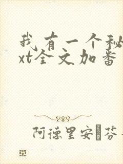 我有一个秘密txt全文加番外