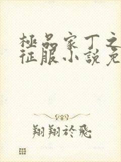 极品家丁之初八征服小说免费阅读