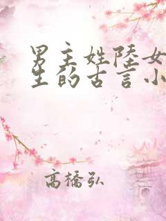 男主姓陆女主重生的古言小说