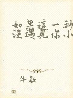 如果这一秒,我没遇见你小说看