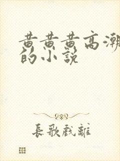 黄黄黄高潮流水的小说