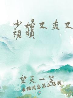 少妇又爽又刺激视频