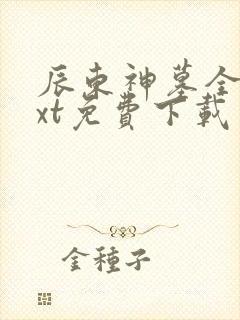 辰东神墓全本txt免费下载