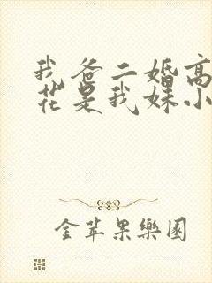 我爸二婚高冷校花是我妹小说