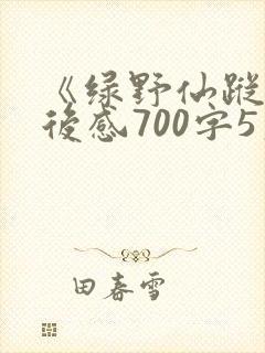 《绿野仙踪》读后感700字5篇