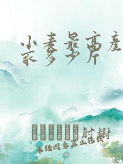 小麦最高产量每亩多少斤