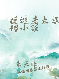摸进老太婆的裤裆小说
