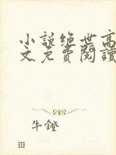 小说绝世高手原文免费阅读