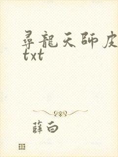 寻龙天师皮剑青 txt