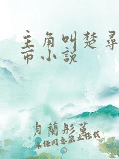 主角叫楚寻的都市小说