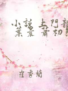 小说 上门龙婿 叶晨 萧初然