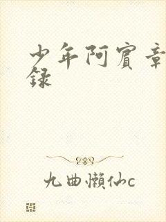 少年阿宾章节目录