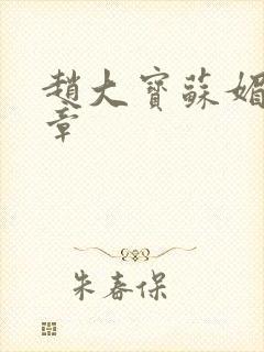 赵大宝苏媚第6章
