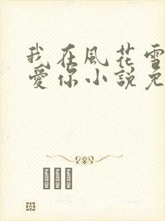 我在风花雪月里爱你小说免费阅读