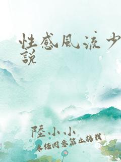 性感风流少妇小说