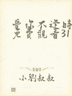 爱你不逢时短剧免费观看31集播放