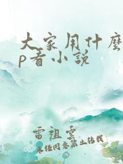 大家用什么app看小说