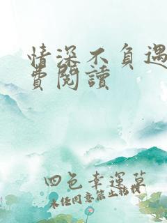 情深不负遇见免费阅读