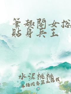 笔趣阁女总裁的贴身兵王