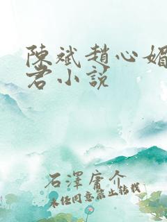陈斌赵心媚高婉君小说