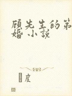 顾先生的第一宠婚 小说