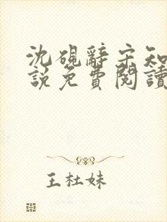 沈砚辞宋知遥小说免费阅读