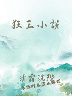 狂王小说