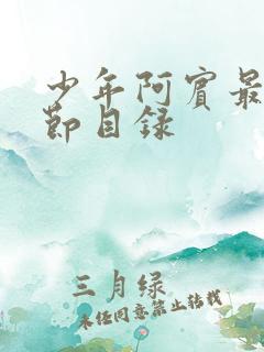 少年阿宾最新章节目录