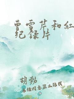 曹雪芹和红楼梦 纪录片