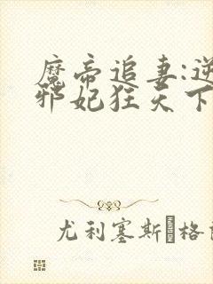 魔帝追妻:逆天邪妃狂天下