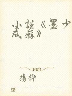 小说《墨少宠妻成瘾》