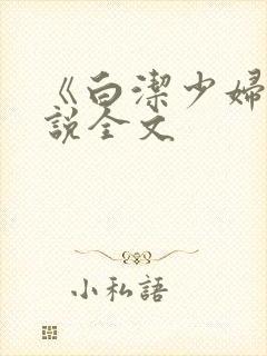 《白洁少妇》小说全文